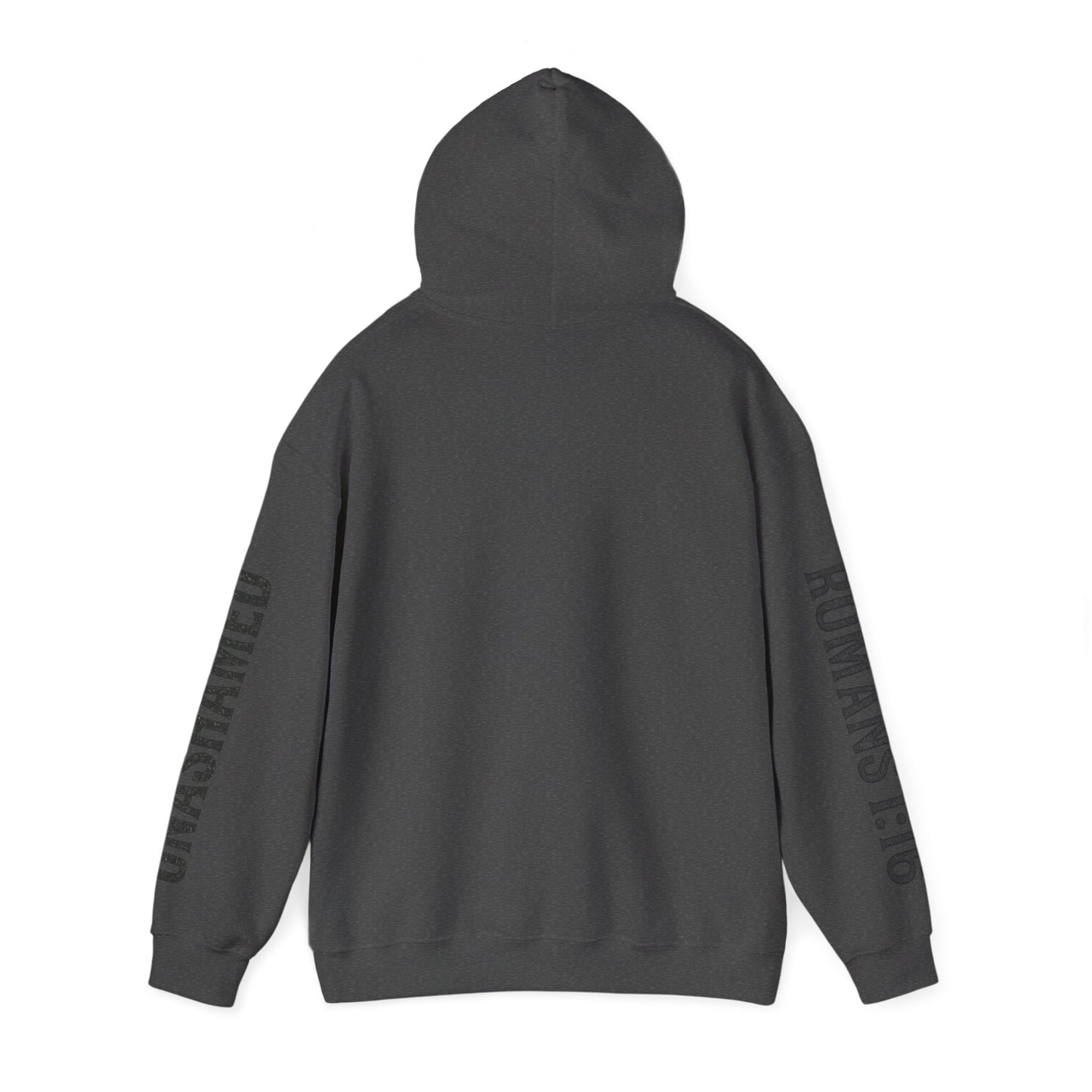 Unashamed/Romans 1:16 Hoodie